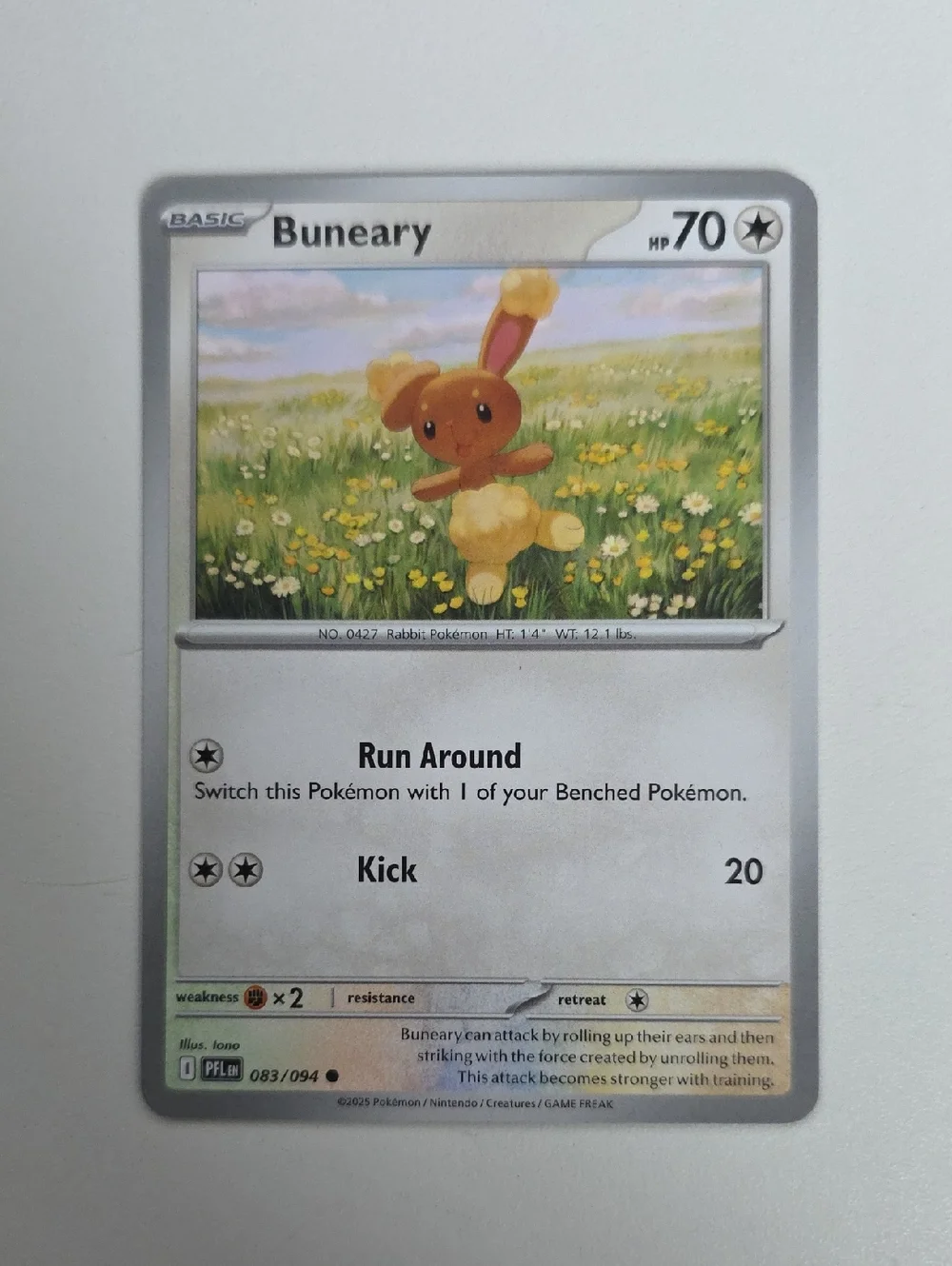 Pokemon Buneary And Buneary Holo Card Lot